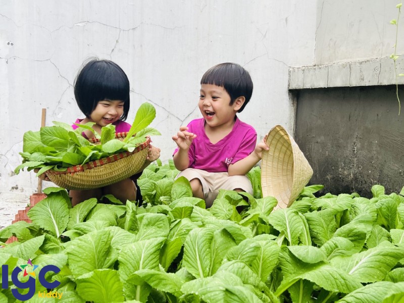 Cùng Bé chăm sóc vườn rau và thu hoạch nhé !