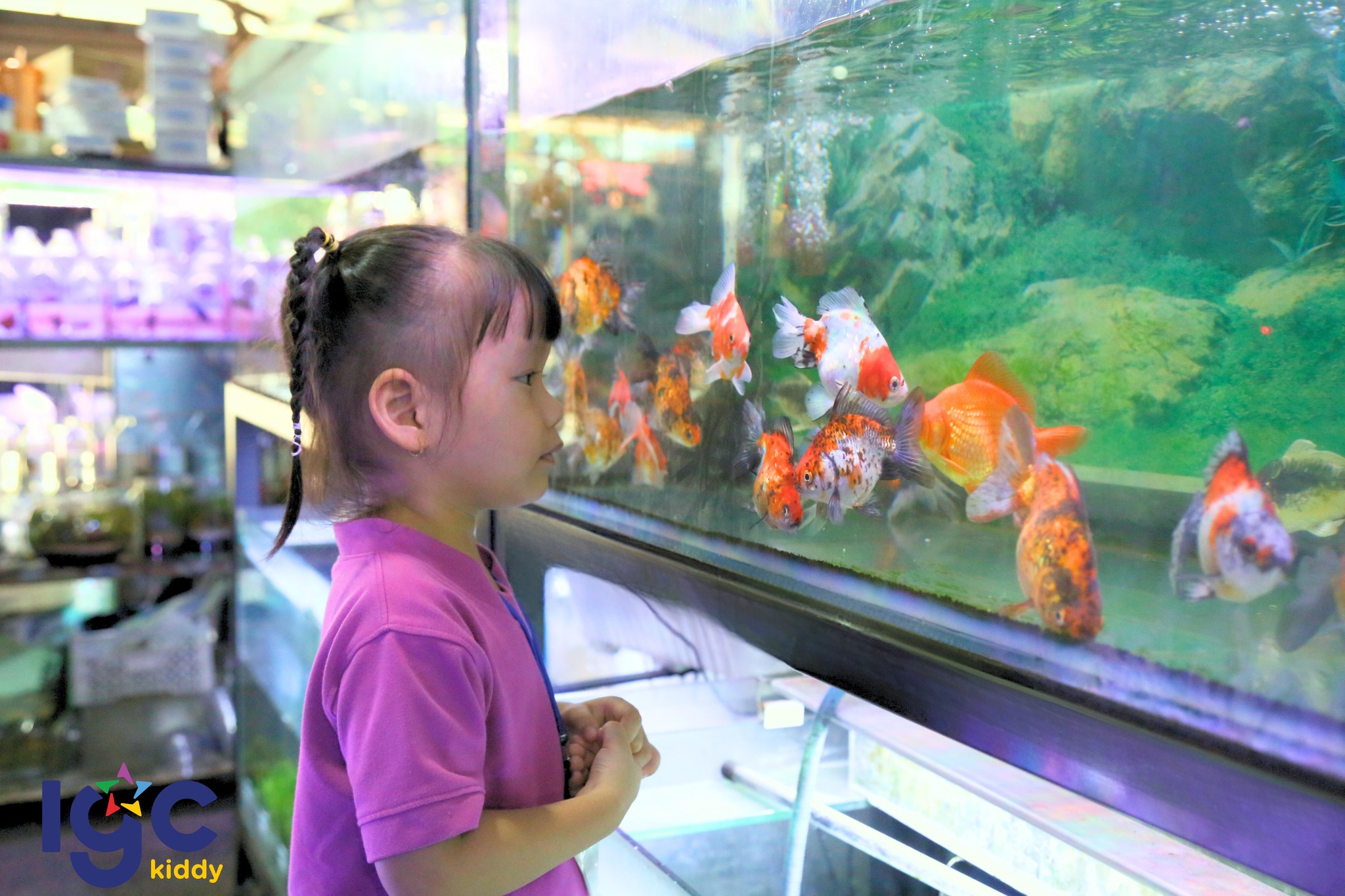 BÉ KHÁM PHÁ THẾ GIỚI THỦY SINH