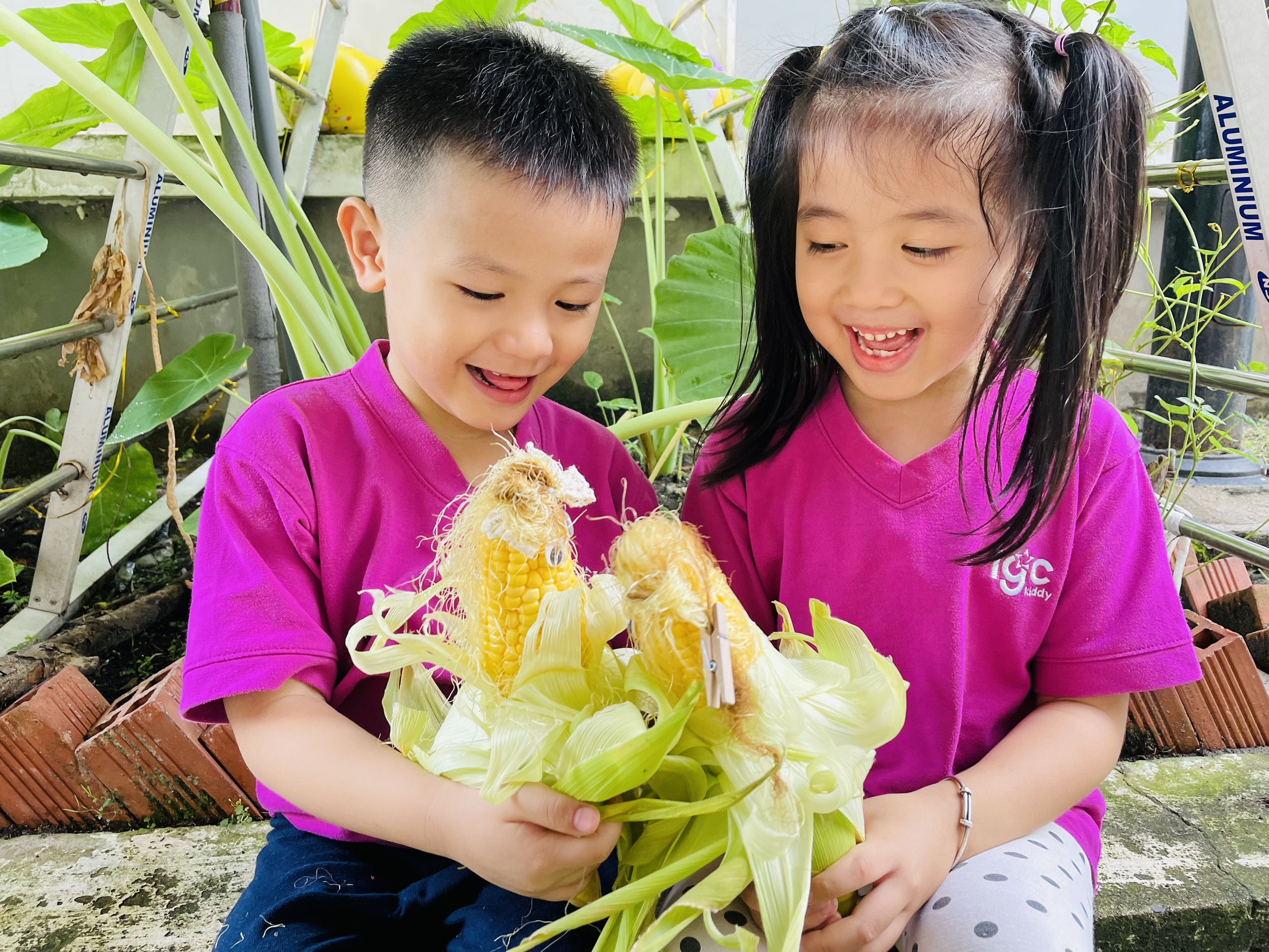 CÔNG CHÚA - HOÀNG TỬ BẮP